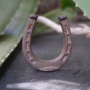 Vintage Good Luck Mini Horse Shoe